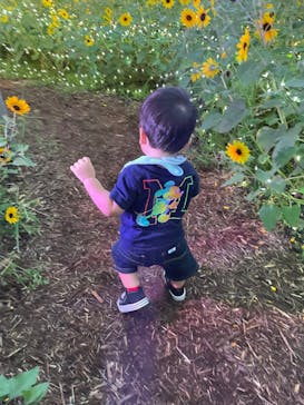 せんだい農業園芸センター　みどりの杜に投稿された画像（2022/8/21）