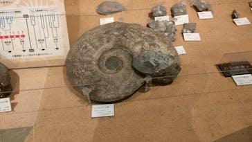 環境水族館アクアマリンふくしまに投稿された画像（2022/8/21）