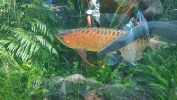 環境水族館アクアマリンふくしまに投稿された画像（2022/8/21）