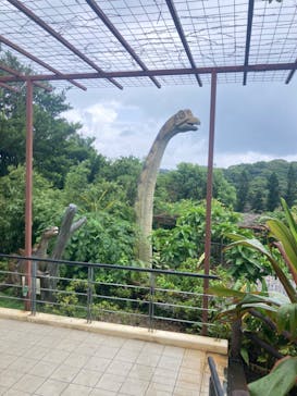 御菓子御殿　名護店　やんばる亜熱帯の森DINO恐竜PARKに投稿された画像（2022/8/21）