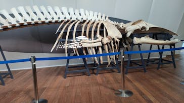 環境水族館アクアマリンふくしまに投稿された画像（2022/8/21）