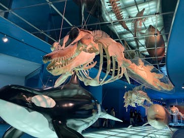 名古屋港水族館に投稿された画像（2022/8/21）