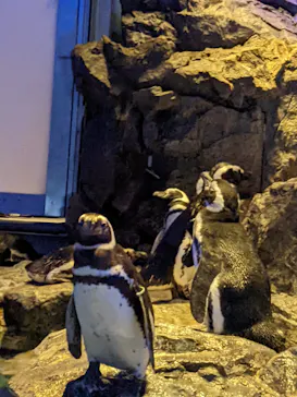 すみだ水族館に投稿された画像（2022/8/21）