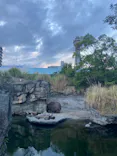 天王寺動物園に投稿された画像（2022/8/21）