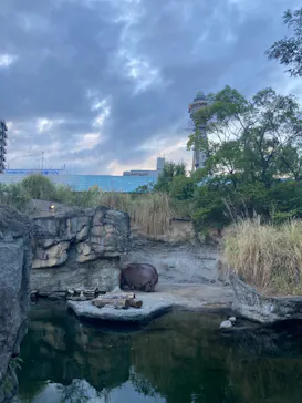 天王寺動物園に投稿された画像（2022/8/21）