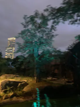 天王寺動物園に投稿された画像（2022/8/21）