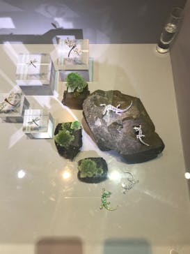 特別展「宝石　地球がうみだすキセキ」（名古屋市科学館　理工館地下２階イベントホール）に投稿された画像（2022/8/21）