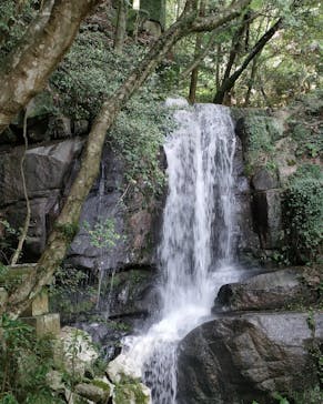 アソビュー株式会社　150881に投稿された画像（2022/8/21）