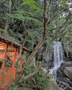 アソビュー株式会社　150881に投稿された画像（2022/8/21）