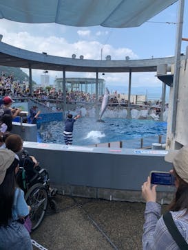 大分マリーンパレス水族館 「うみたまご」に投稿された画像（2022/8/21）