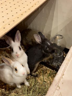 アニタッチみなとみらいに投稿された画像（2022/8/21）