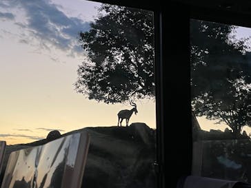 姫路セントラルパークに投稿された画像（2022/8/21）