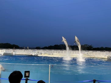 京都水族館に投稿された画像（2022/8/21）