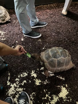 体感型動物園iZooに投稿された画像（2022/8/21）