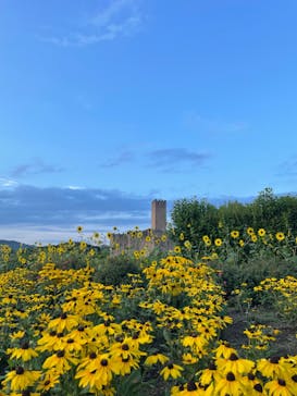 志摩スペイン村パルケエスパーニャに投稿された画像（2022/8/21）