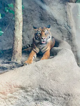 神戸どうぶつ王国に投稿された画像（2022/8/21）