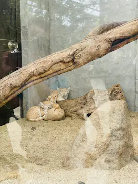 神戸どうぶつ王国に投稿された画像（2022/8/21）