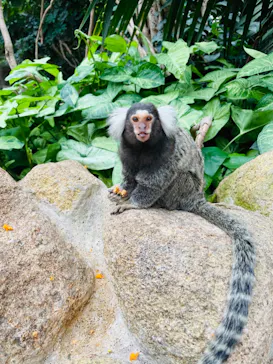 神戸どうぶつ王国に投稿された画像（2022/8/21）