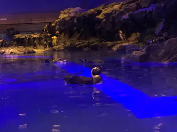 すみだ水族館に投稿された画像（2022/8/21）