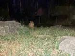 天王寺動物園に投稿された画像（2022/8/21）