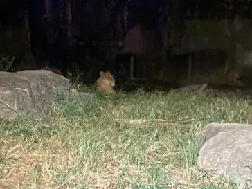 天王寺動物園に投稿された画像（2022/8/21）