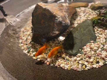 上方温泉 一休 京都本館に投稿された画像（2022/8/21）