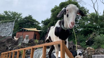 伊豆シャボテン動物公園に投稿された画像（2022/8/21）