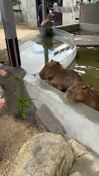 姫路セントラルパークに投稿された画像（2022/8/21）