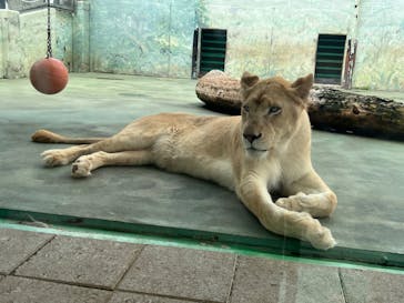 姫路セントラルパークに投稿された画像（2022/8/21）