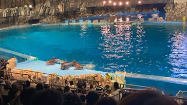 名古屋港水族館に投稿された画像（2022/8/21）
