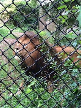 よこはま動物園ズーラシアに投稿された画像（2022/8/21）