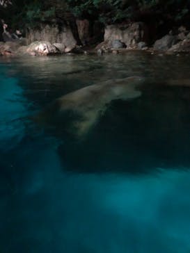 よこはま動物園ズーラシアに投稿された画像（2022/8/21）