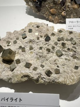 特別展「宝石　地球がうみだすキセキ」（名古屋市科学館　理工館地下２階イベントホール）に投稿された画像（2022/8/21）