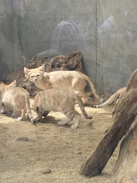 神戸どうぶつ王国に投稿された画像（2022/8/21）