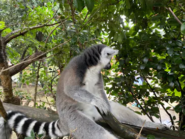 神戸どうぶつ王国に投稿された画像（2022/8/21）
