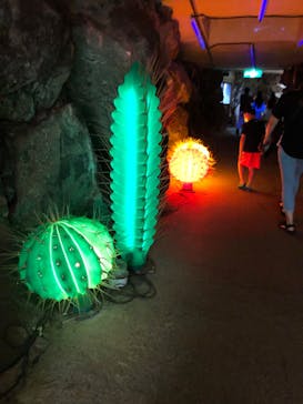 伊豆シャボテン動物公園に投稿された画像（2022/8/21）