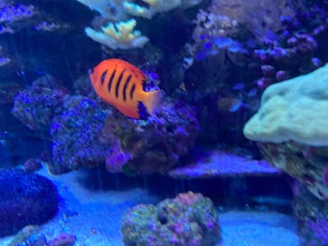 名古屋港水族館に投稿された画像（2022/8/21）