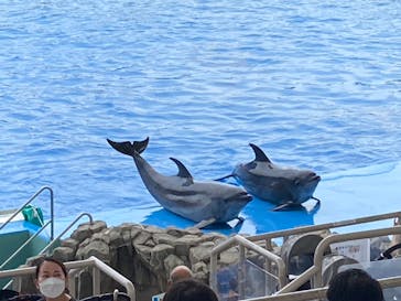 名古屋港水族館に投稿された画像（2022/8/21）