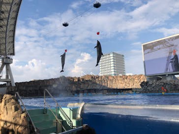 名古屋港水族館に投稿された画像（2022/8/21）