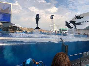 名古屋港水族館に投稿された画像（2022/8/21）
