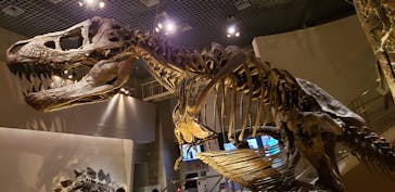 国立科学博物館に投稿された画像（2022/8/21）