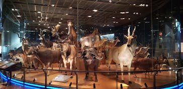 国立科学博物館に投稿された画像（2022/8/21）