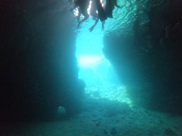 武藤潜水に投稿された画像（2022/8/22）