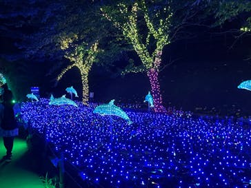 伊豆ぐらんぱる公園に投稿された画像（2022/8/22）