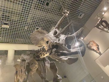 国立科学博物館に投稿された画像（2022/8/22）