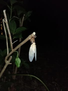 横浜市立金沢動物園に投稿された画像（2022/8/22）