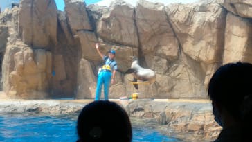 島根県立 しまね海洋館に投稿された画像（2022/8/22）