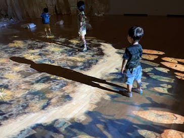 安祥文化のさとに投稿された画像（2022/8/22）