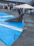 大分マリーンパレス水族館 「うみたまご」に投稿された画像（2022/8/22）