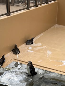アクアワールド茨城県大洗水族館に投稿された画像（2022/8/22）
